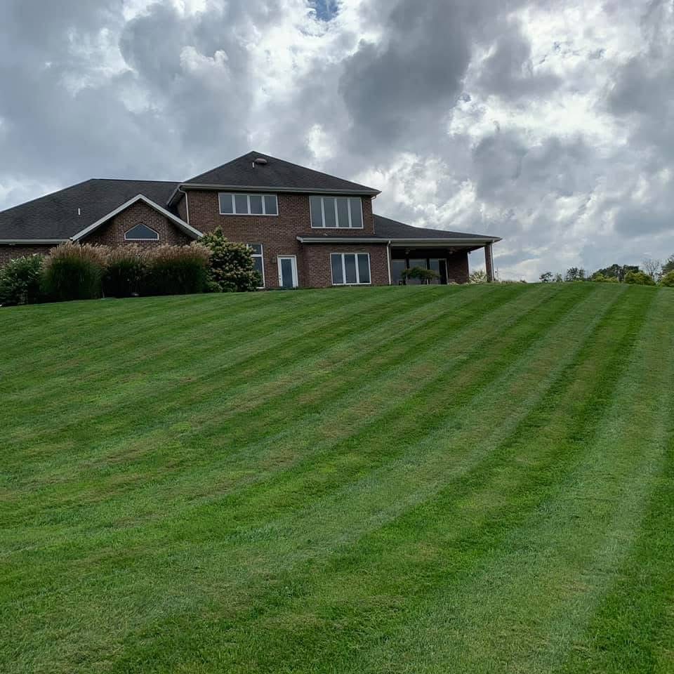Beautiful landscaped front yard